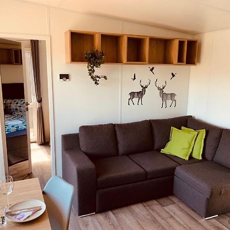 Tinyhaus Im Altmuehltal Villa Beilngries Dış mekan fotoğraf